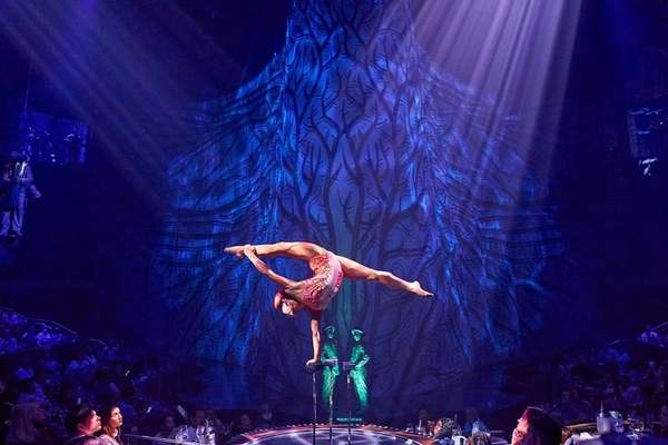 Cirque du Soleil JOYÀ Image #8