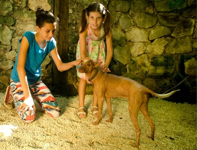 Croco Cun Zoo Image #2 Croco Cun Zoo Image #2
