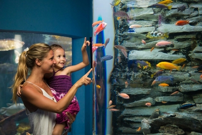 Interactive Aquarium Cancún Image #2