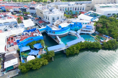 Interactive Aquarium Cancún Image #3