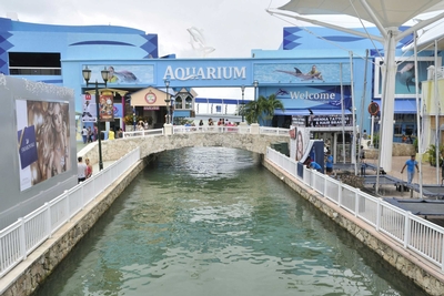 Interactive Aquarium Cancún Image #4